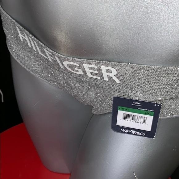 TOMMY HILFIGER HEATHER GRAY SPARKLE HIPSTER PANTY SIZE LARGE - Picture 7 of 7